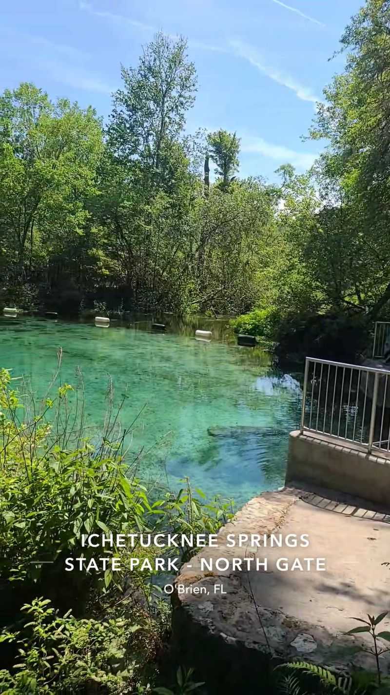 North Entrance Snorkel Etiquette