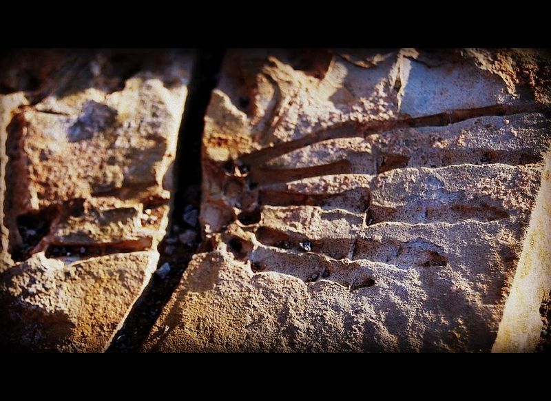 Mesa Arch and Fossil Sites — Namibia