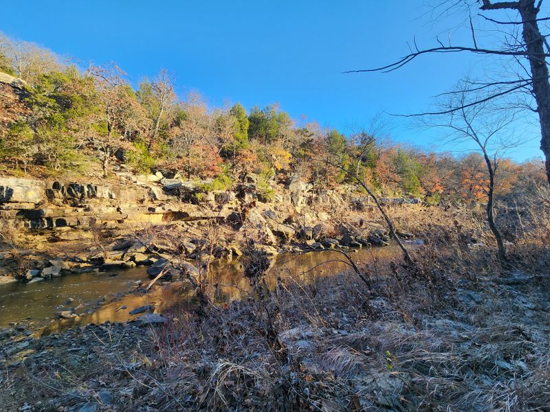 Seasonal Transformations That Reshape the Landscape