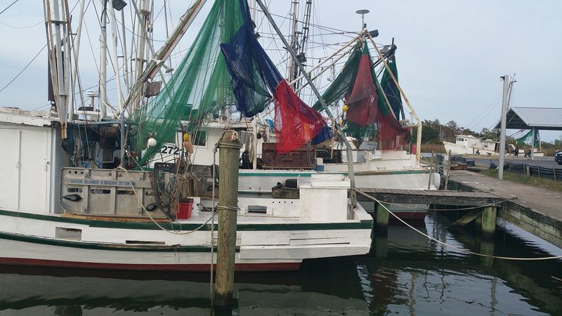 Oyster Capital of the World