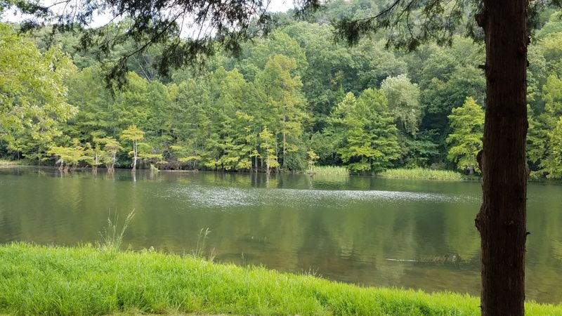 Photography Opportunities