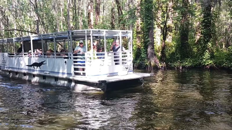 Rain or Shine Canal Calm