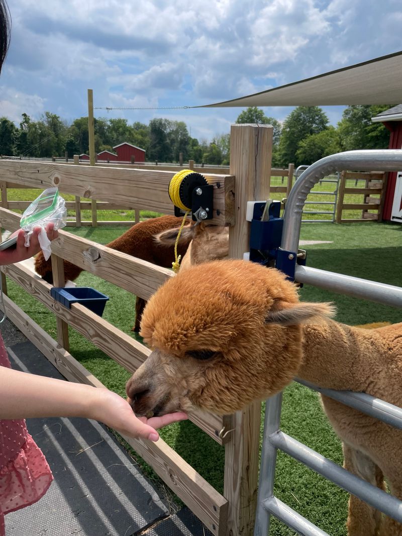 Kid-Friendly Moments Without Stress