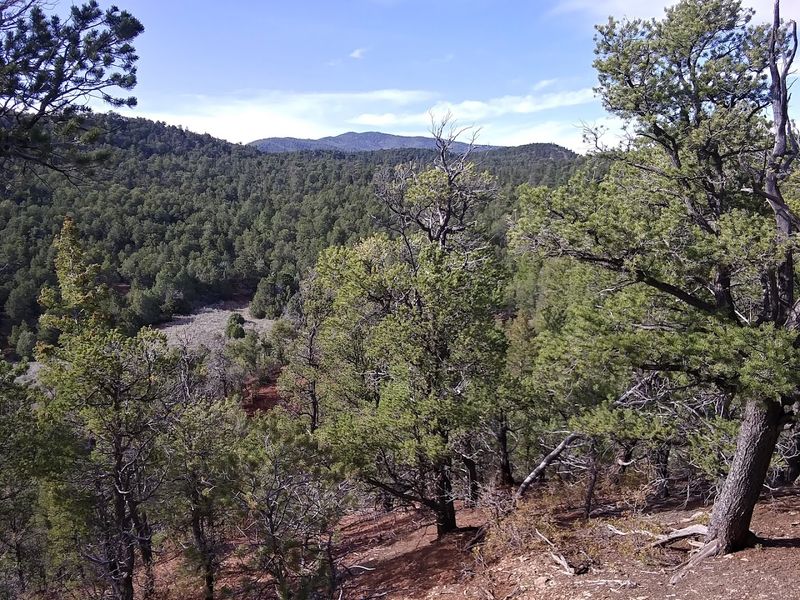 Glorieta Pass, New Mexico