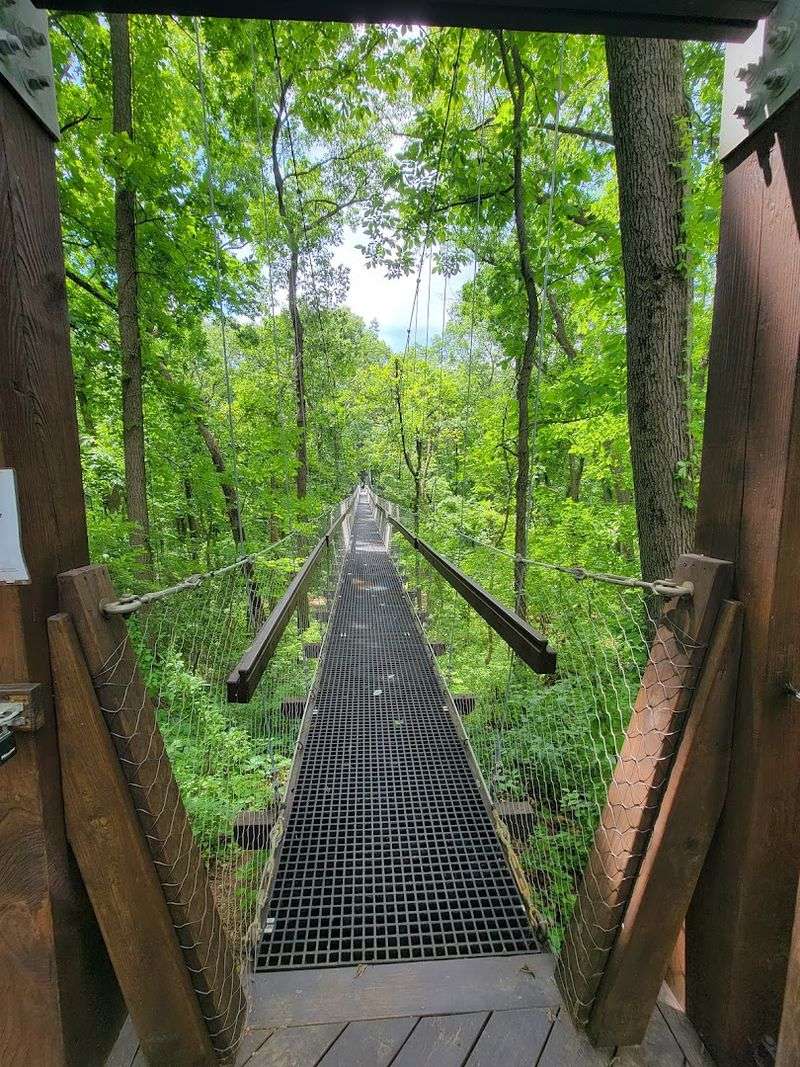 Hiking Trails Through Forest, Field, and Wetland