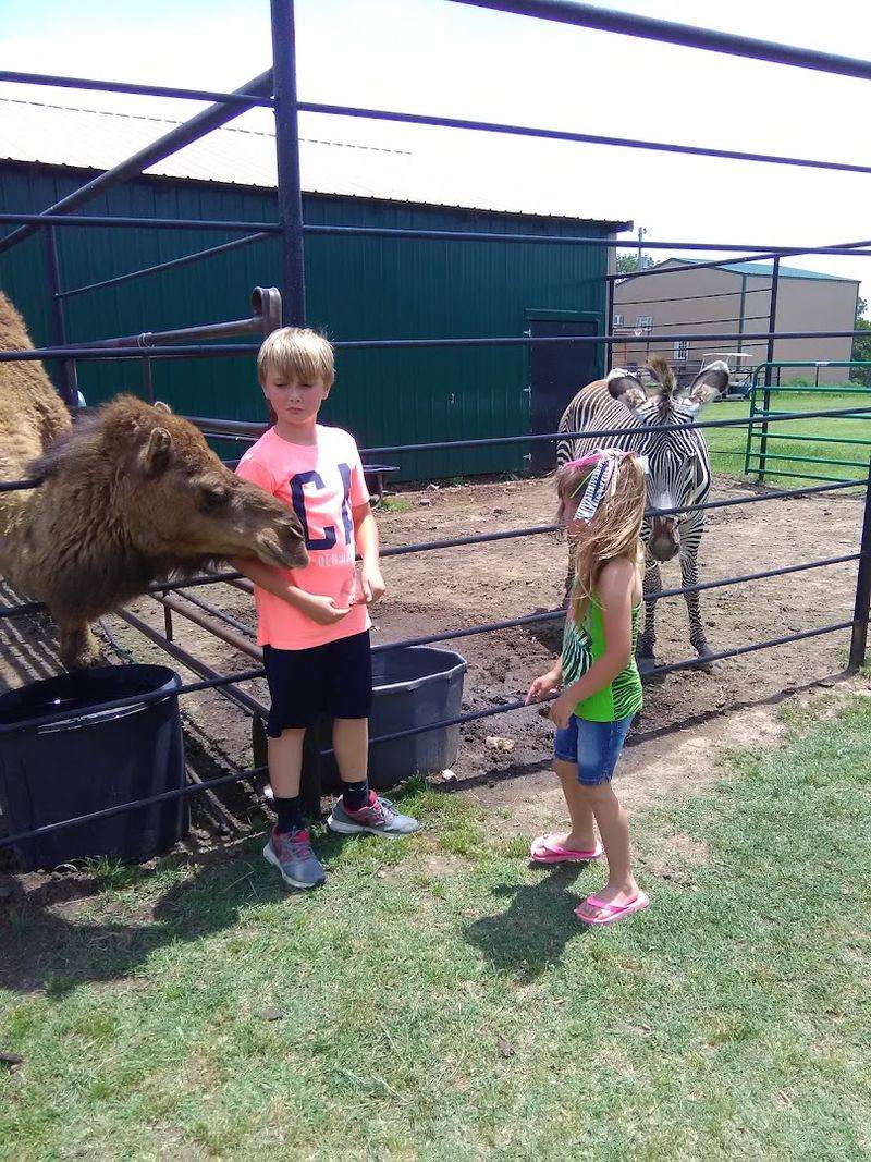 A Family-Friendly Escape With Real Wonder