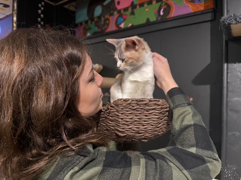 Adoption Magic: From Hello To Home