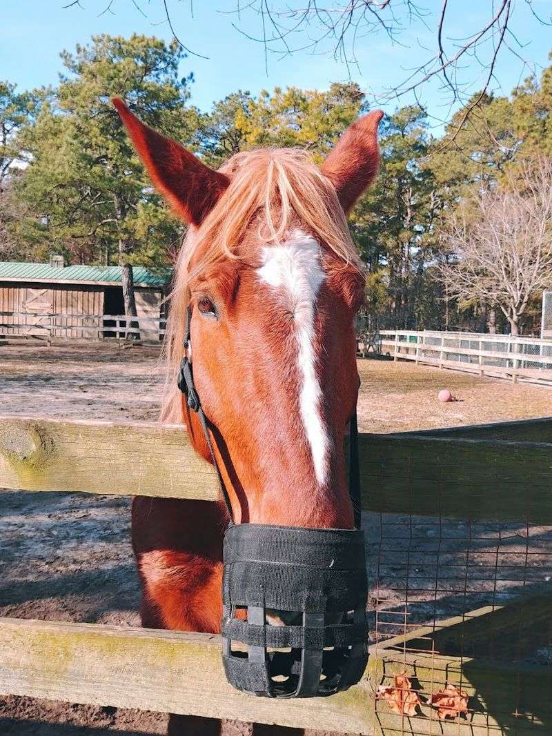 What the Staff Brings to the Experience