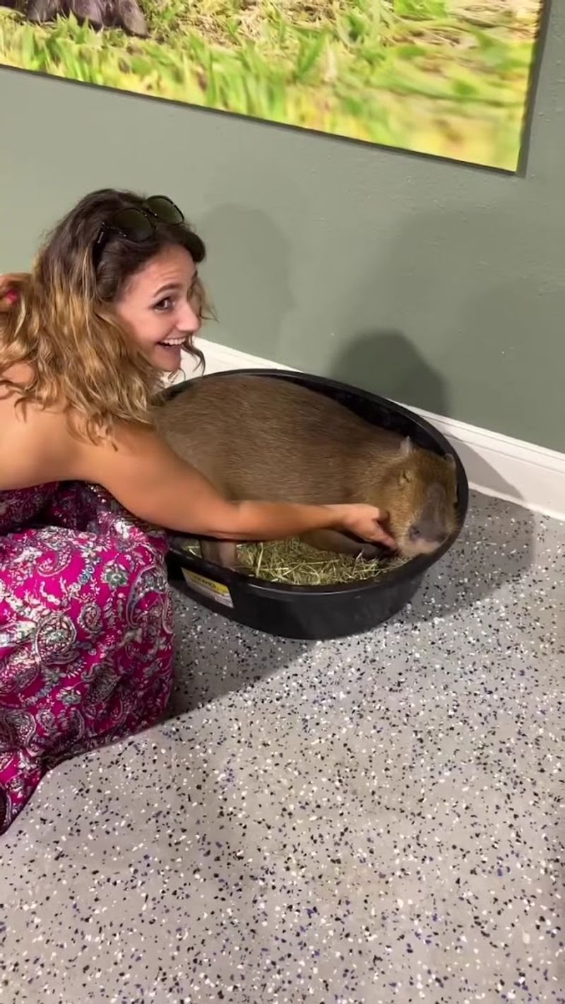 Pricing, Value, and What You Are Really Paying For