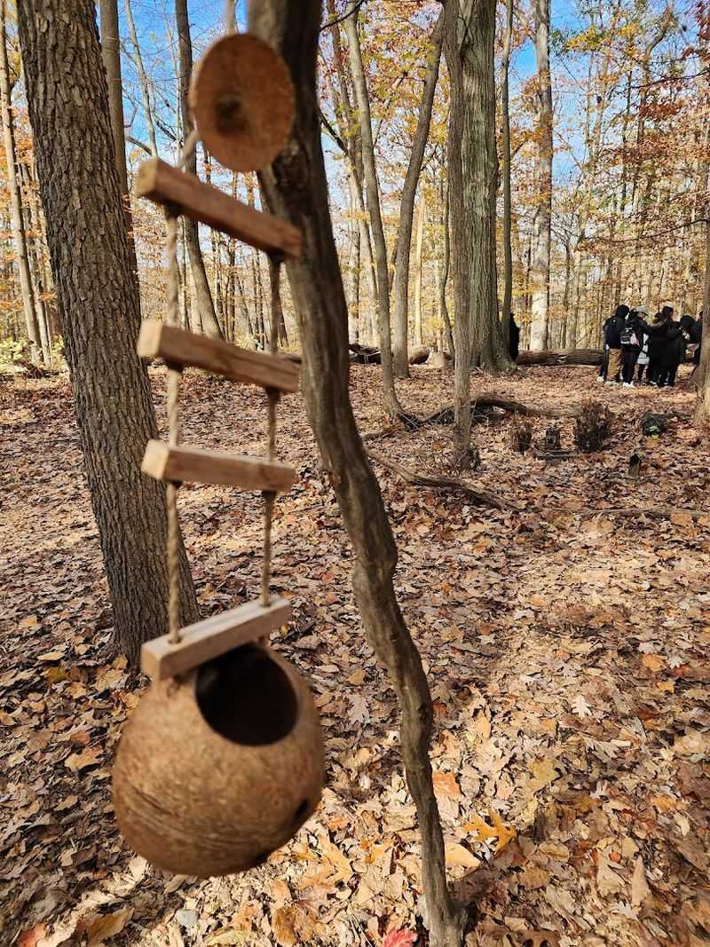 Tips for Making the Most of Your Visit