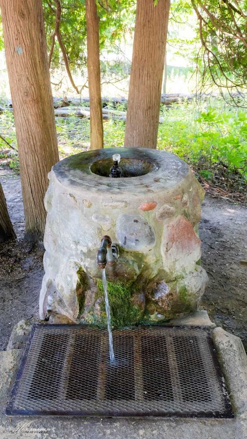 The Physical Look of the Well