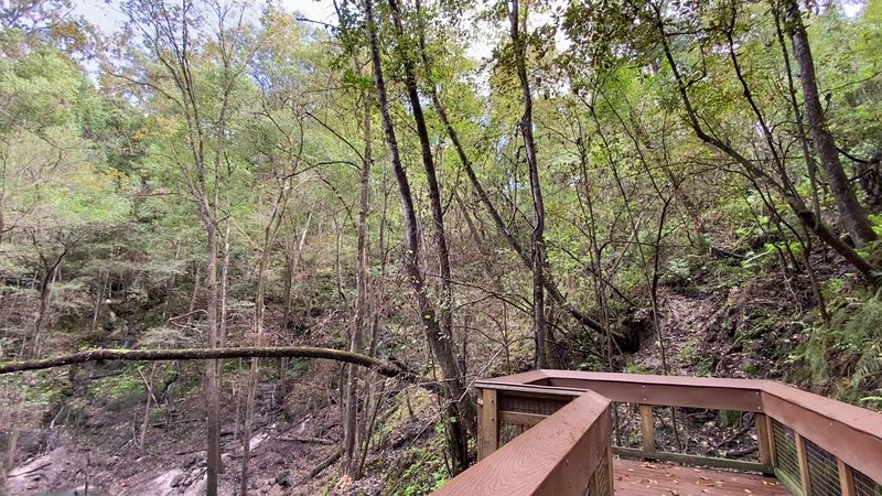 Why This Park Stays With You Long After You Leave