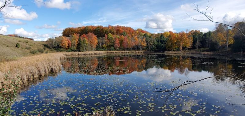 The Scenery Along the Route