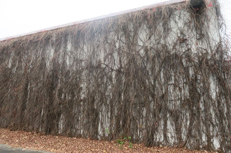 Booking etiquette and expectations