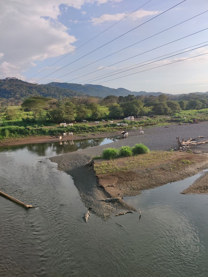 Roads and Driving Can Be Draining