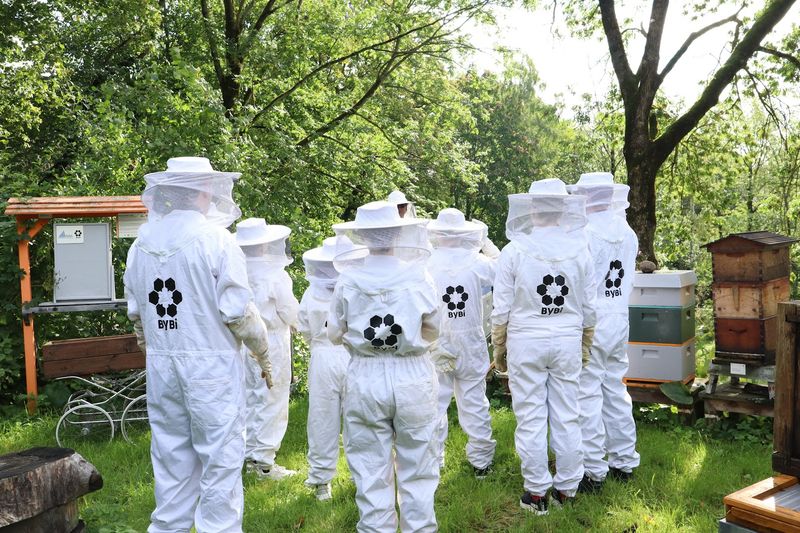 Follow the Bee Highway for a Different City Story