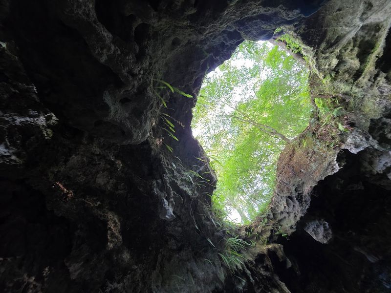 Dames Cave (Withlacoochee State Forest)