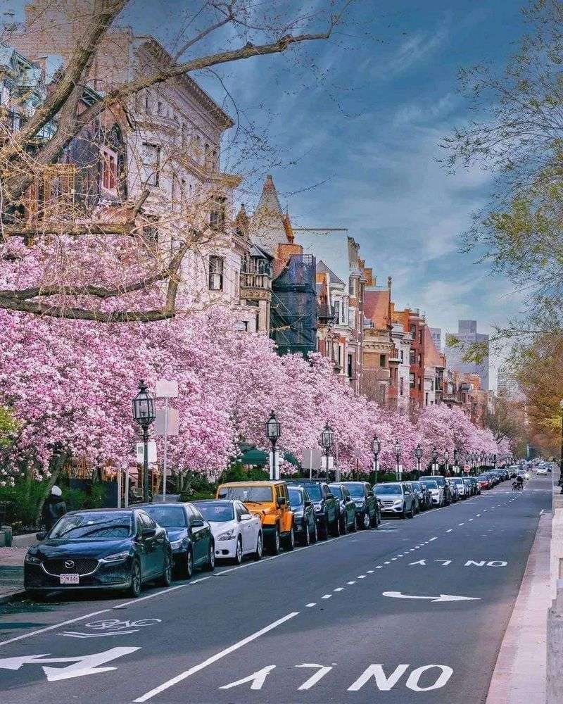 Seasonal Highlights - When to Visit Boston