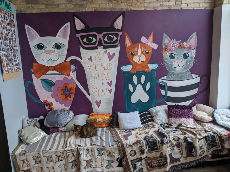 Meet The Resident Introverts