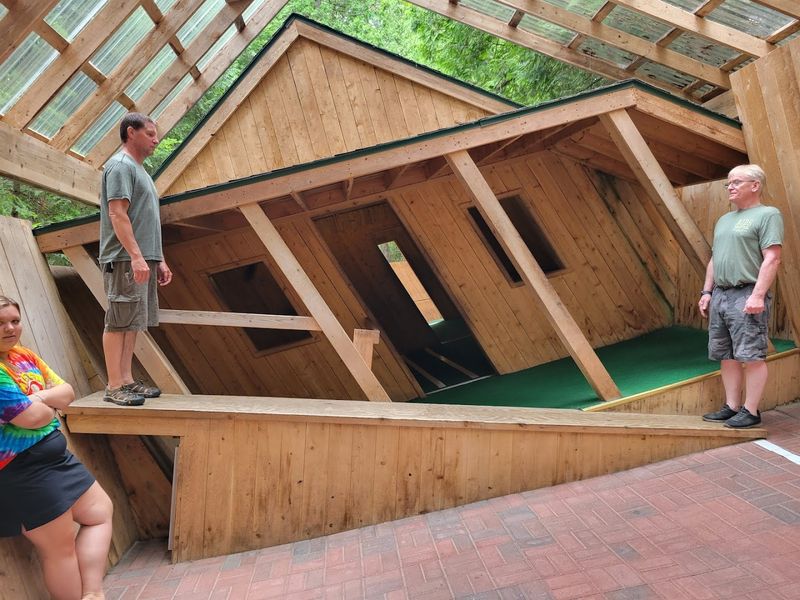 Why Your Brain Feels Sideways