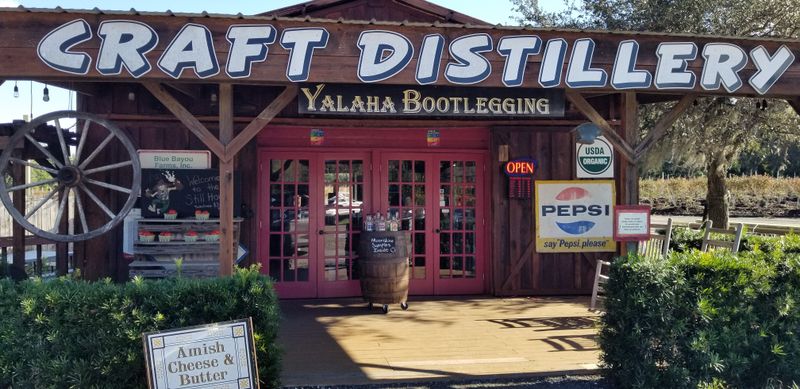 Weekend scene and crowd vibe