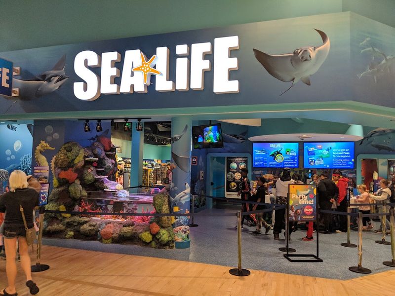 Tickets, Pricing, and Tips for Getting the Most Value