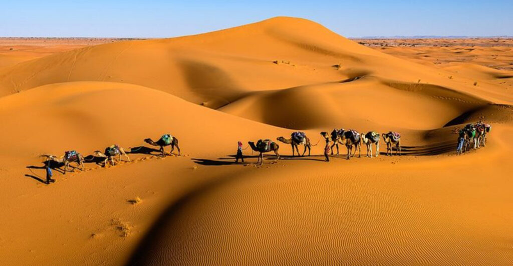Into the Sahara’s Secret Side: Epic Camel Treks & Luxury Tents