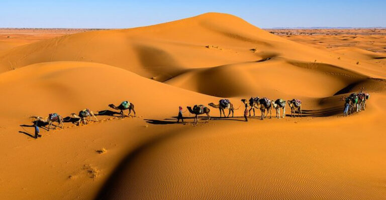 Into the Sahara’s Secret Side: Epic Camel Treks & Luxury Tents
