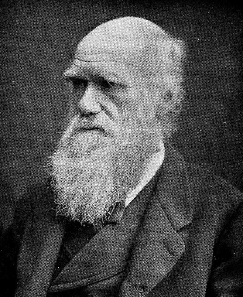 Charles Darwin - Evolution by Natural Selection