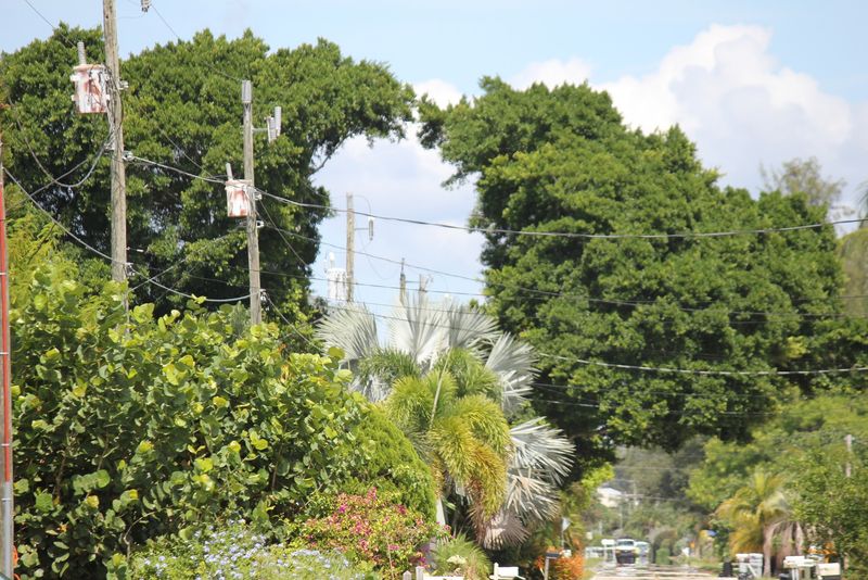 Bridge Street Bites: Ice Cream Stop