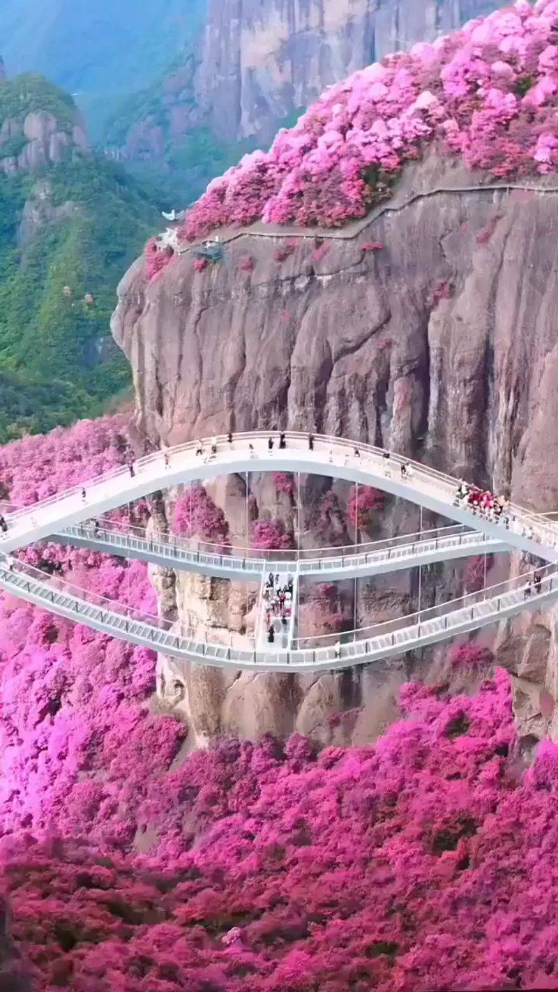 It’s Located in Shenxianju - a Valley That Looks Like a Painting