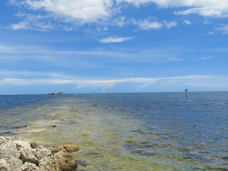 The Park Is Home to Manatees, Dolphins, and Sea Turtles