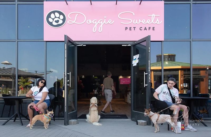 Doggie Sweets (Long Branch) - A café concept built for pets