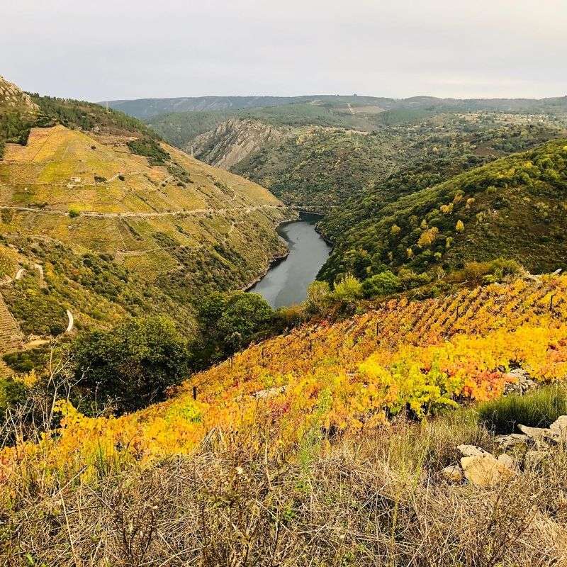 Ribeira Sacra — Spain