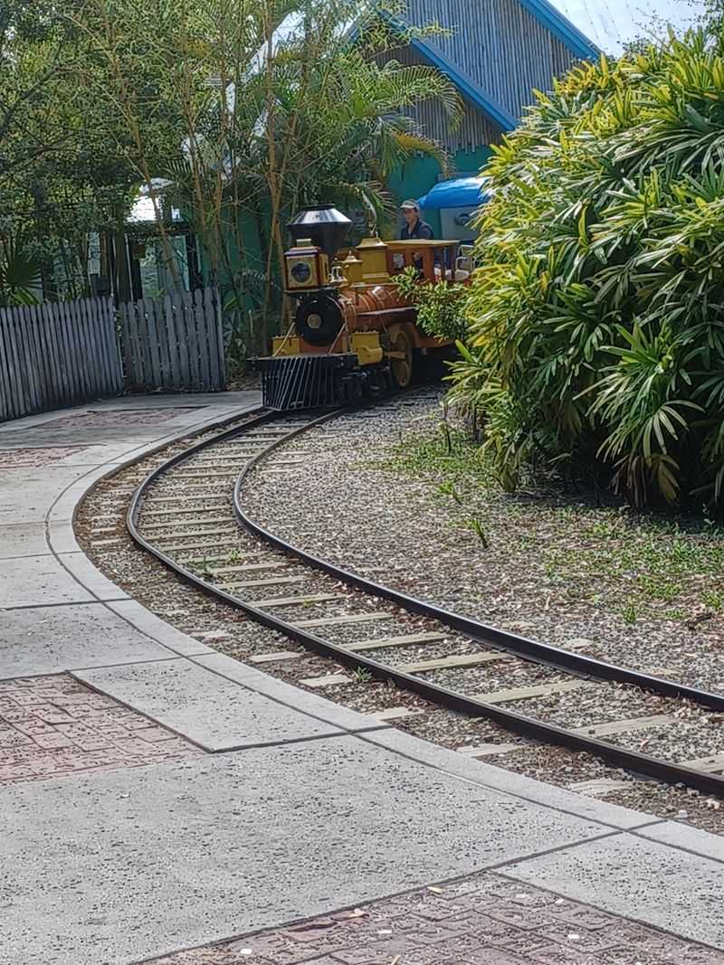 Cape to Cairo Train Ride