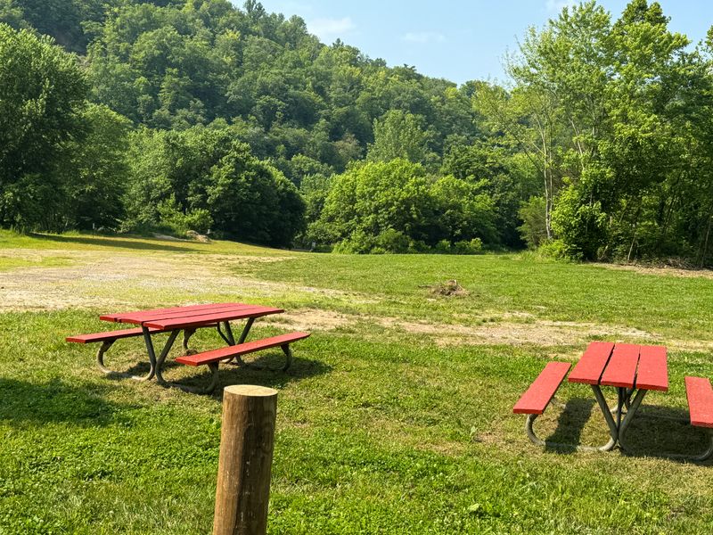 Picnic Realities: Sun, Shade, Strategy