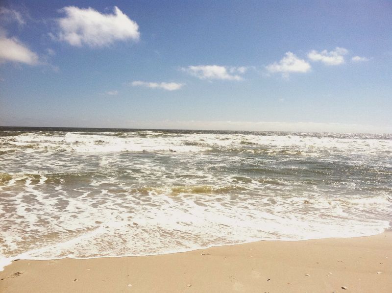 Seasonal Magic and Best Months