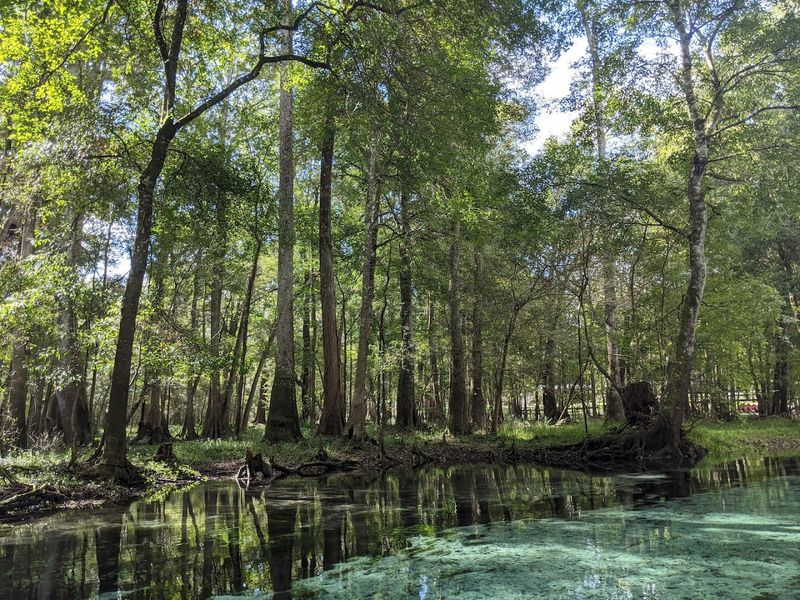 The Nature Trail and Hidden Springs