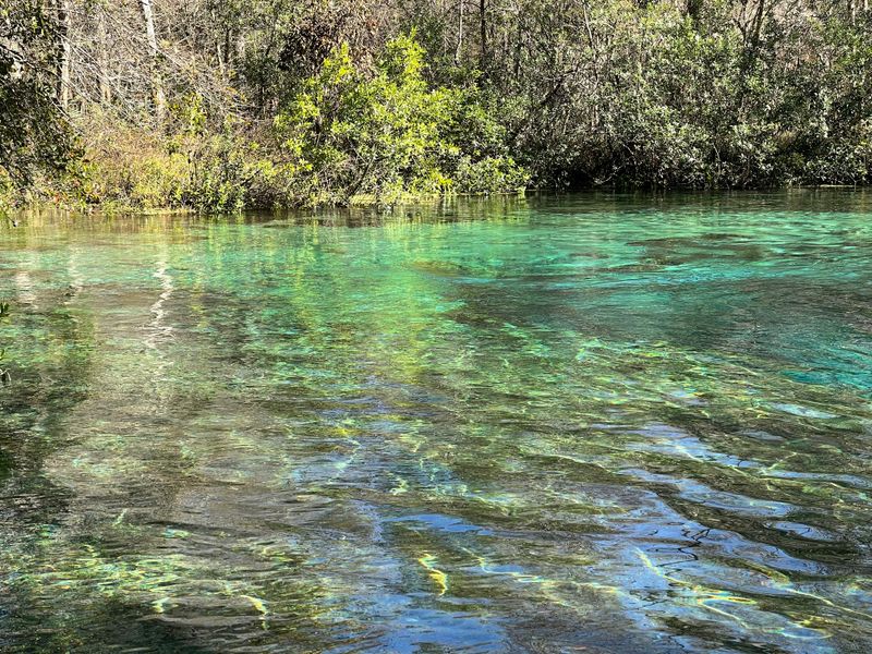 Snorkeling Over Turtle Grass