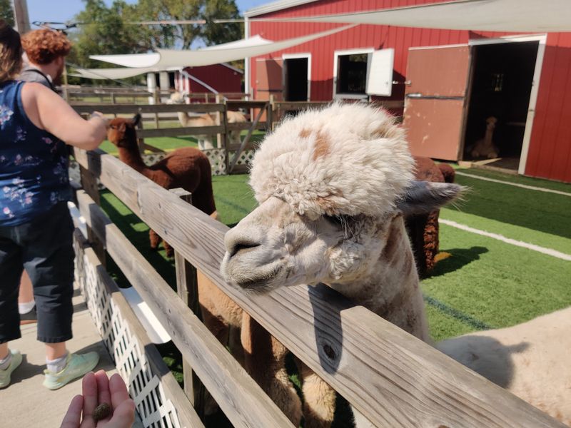 Photography Tips and Gentle Poses