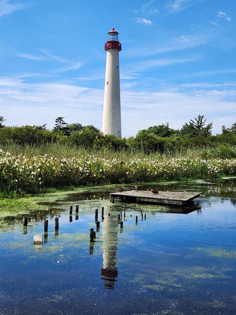 Photography Sweet Spots