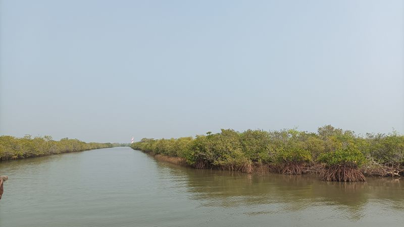 Krishna Wildlife Sanctuary - India