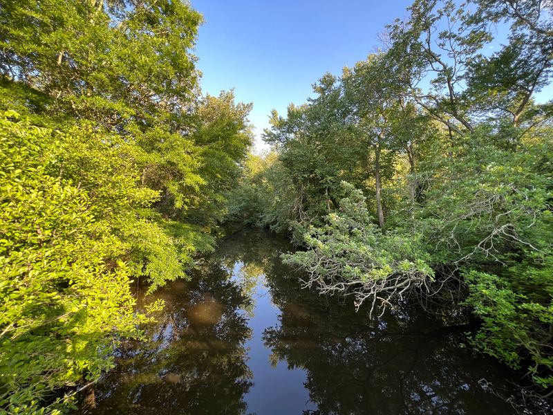 Black Oak Trail - Edge-of-the-Pines Circuit (~2.8 miles)