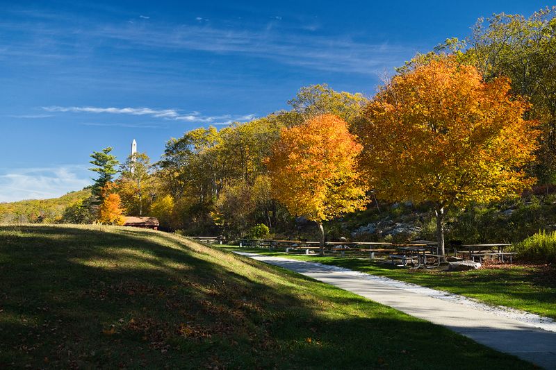 Hiking Trails Through the Park