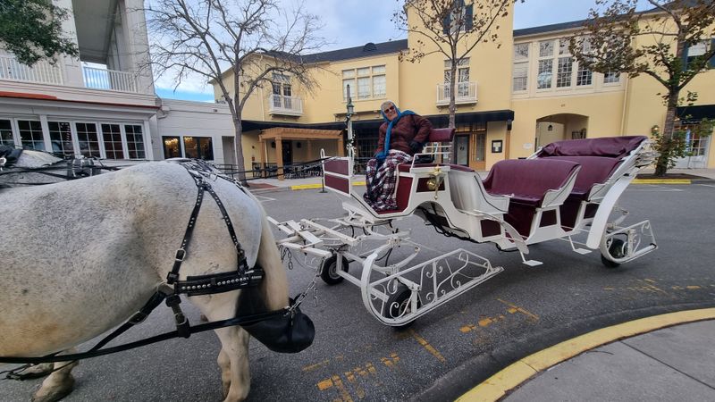 Horse-Drawn Carriage Rides