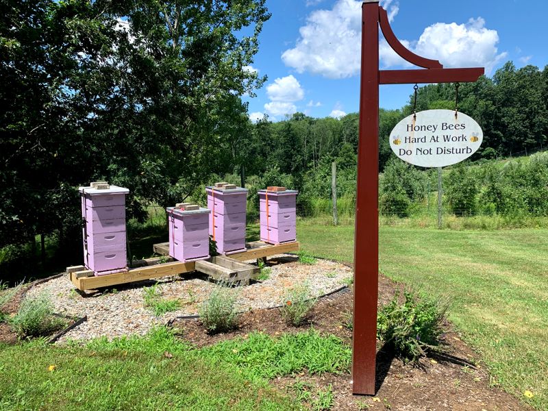Honey From Their On-Site Hives