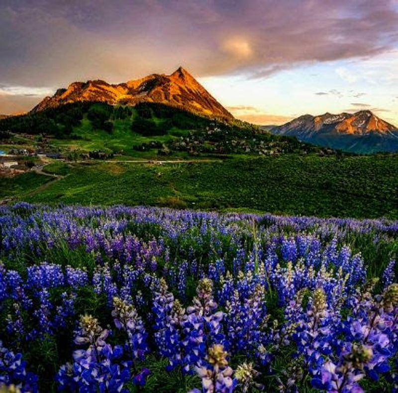 Crested Butte, Colorado — Wildflower Capital & Ski Town
