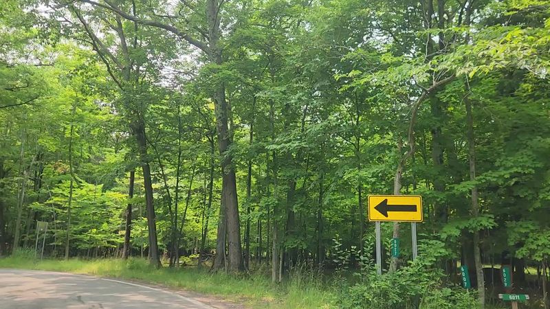 Tunnel of Trees, Harbor Springs