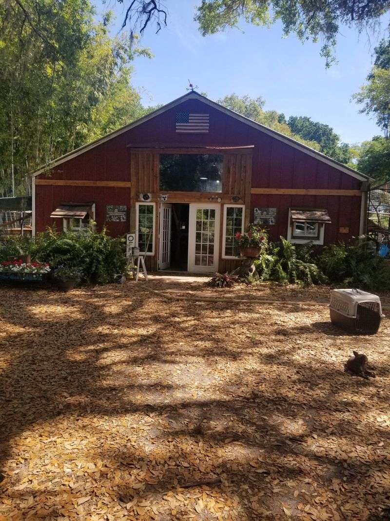 The Hacienda Overnight Stay With Sloth Roommates