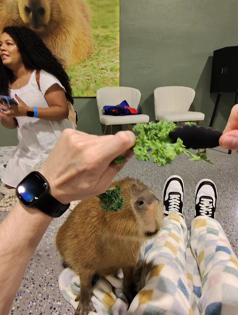 The Staff Members Who Make Every Visit Special